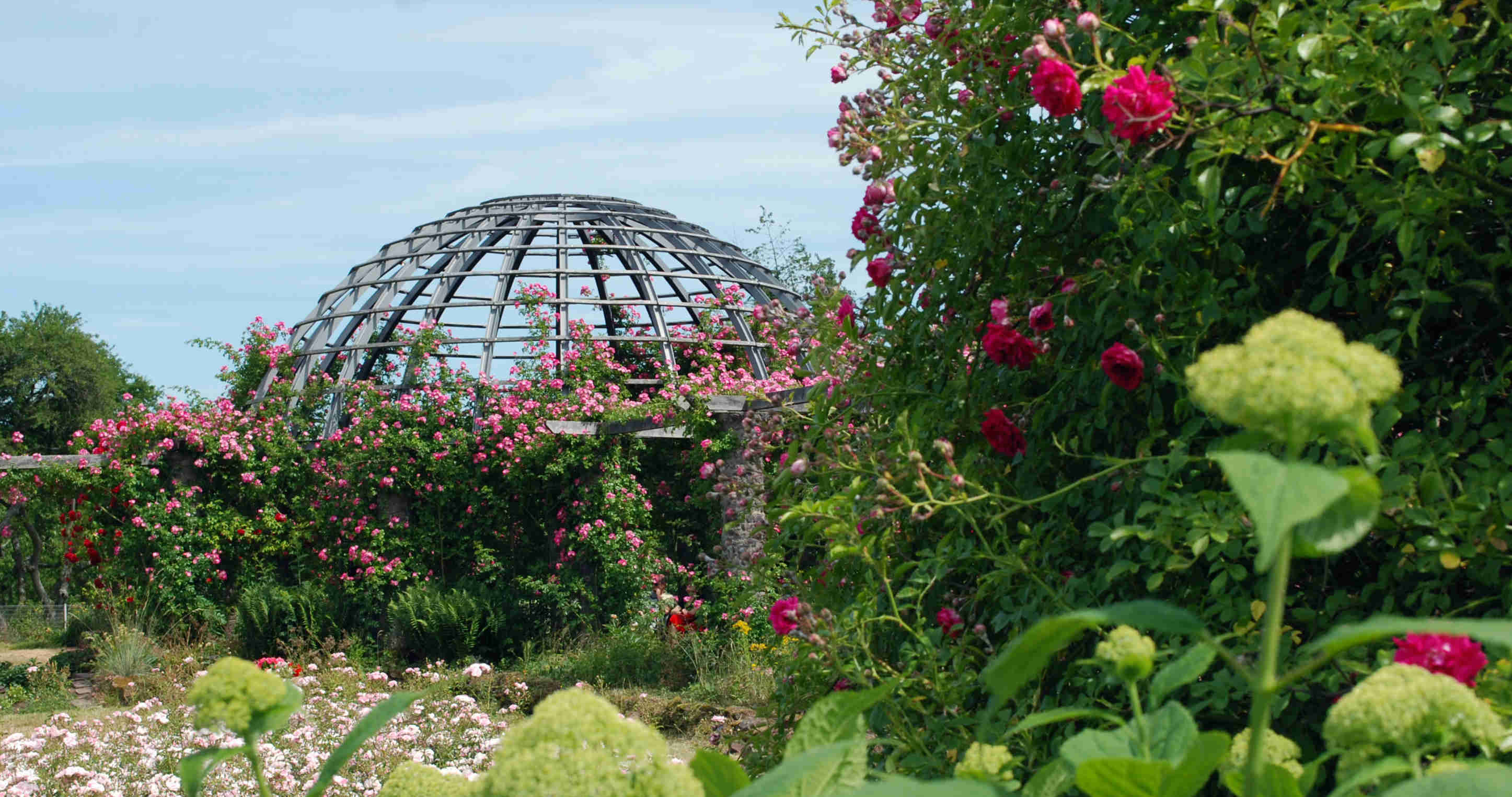 Förderverein Park Rosenhöhe e.V.